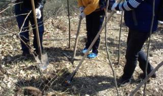 西安义工网 西安义工网